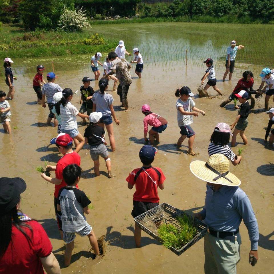 ＰＩＣＬ学習教室中村公園教室 教室画像5