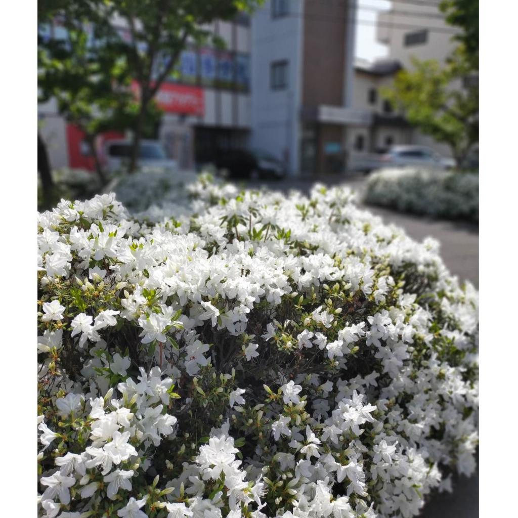 チャレンジ学院南松本駅前校 教室画像2