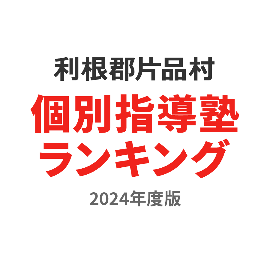 利根郡片品村個別指導塾ランキング浪人生部門2024年度版