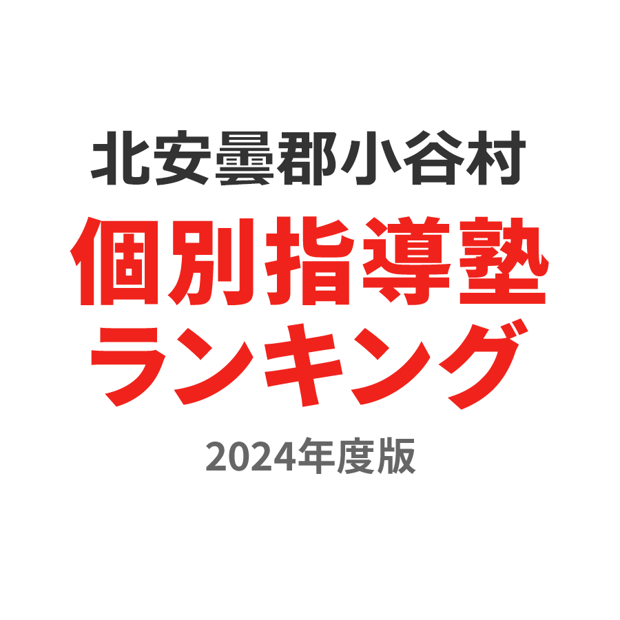 北安曇郡小谷村個別指導塾ランキング幼児部門2024年度版