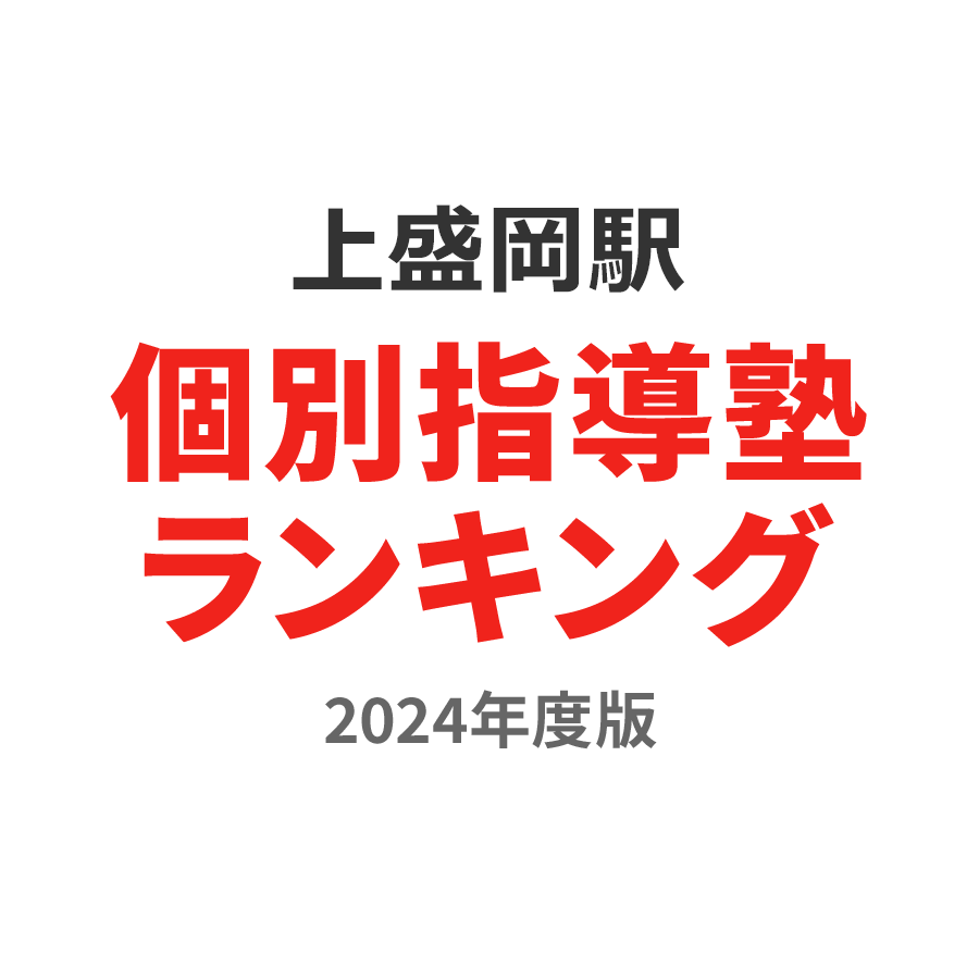 上盛岡駅個別指導塾ランキング高3部門2024年度版