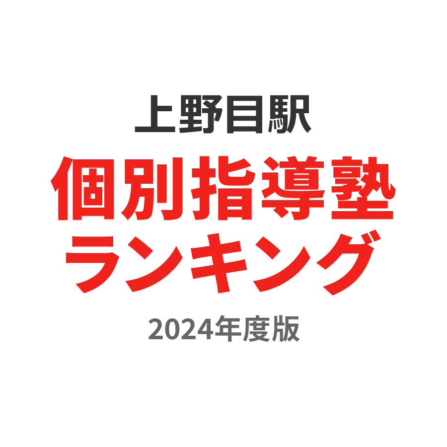 上野目駅個別指導塾ランキング高校生部門2024年度版
