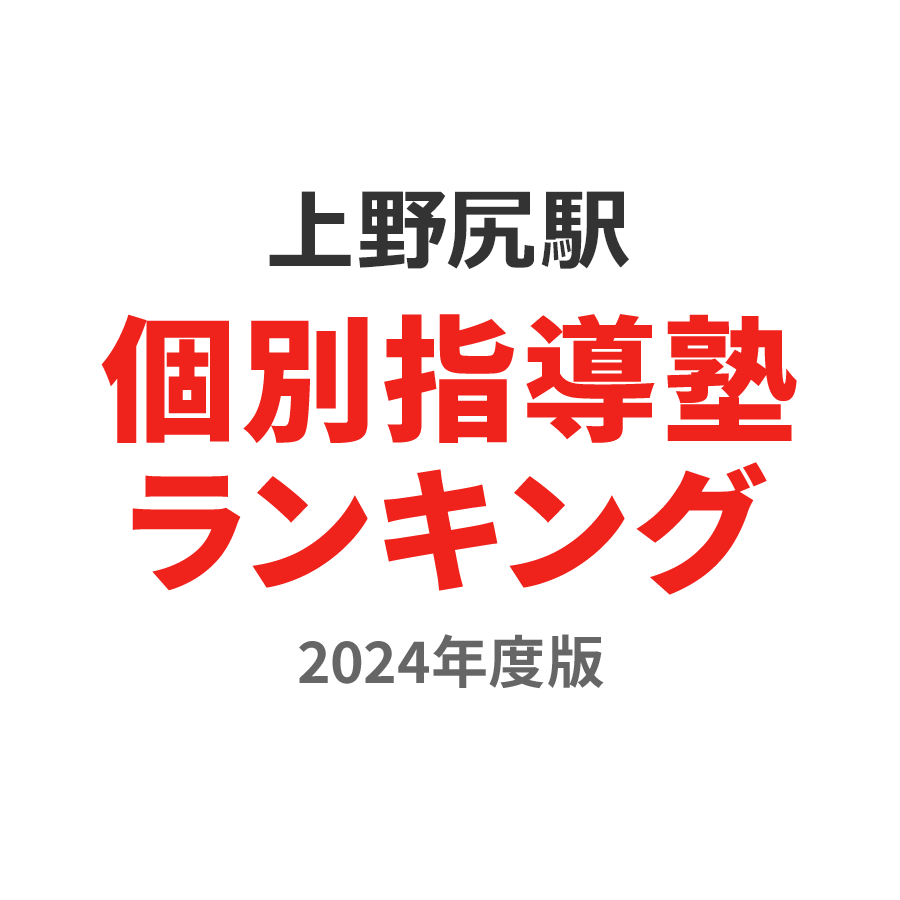 上野尻駅個別指導塾ランキング小学生部門2024年度版