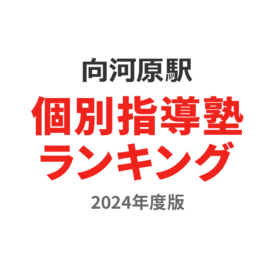 向河原駅個別指導塾ランキング小3部門2024年度版