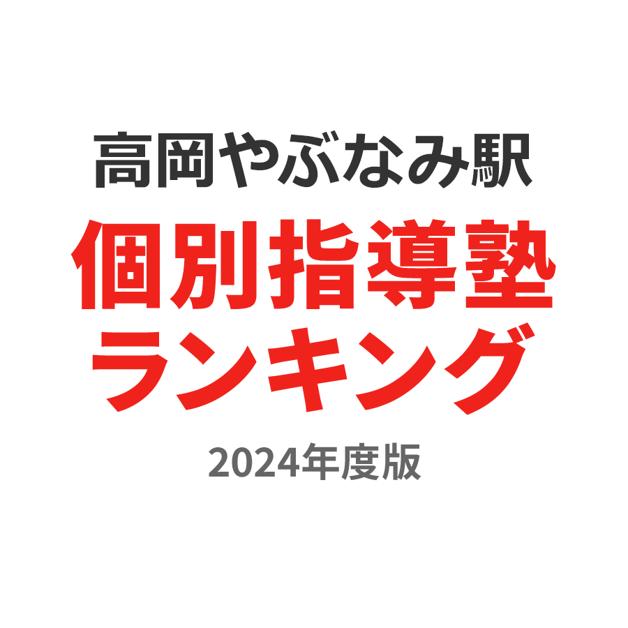 高岡やぶなみ駅個別指導塾ランキング高3部門2024年度版