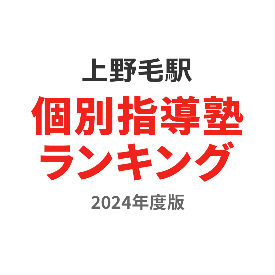 上野毛駅個別指導塾ランキング浪人生部門2024年度版