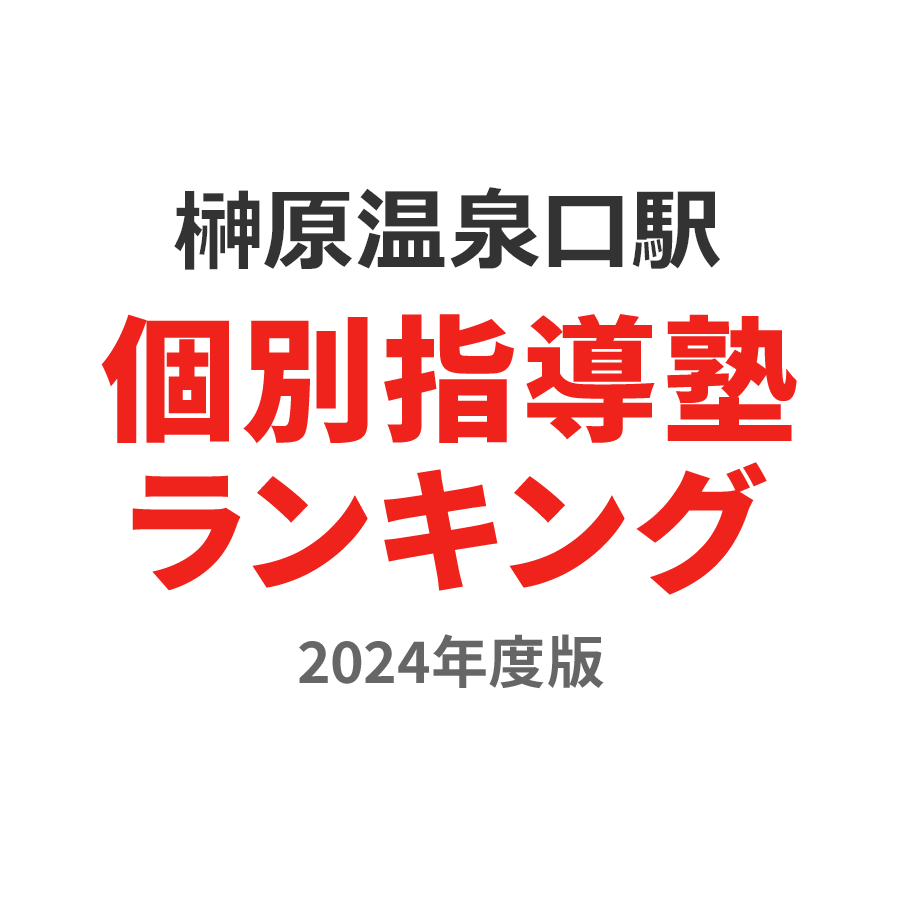 榊原温泉口駅個別指導塾ランキング小1部門2024年度版