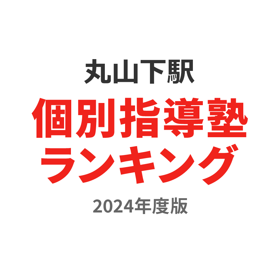 丸山下駅個別指導塾ランキング浪人生部門2024年度版