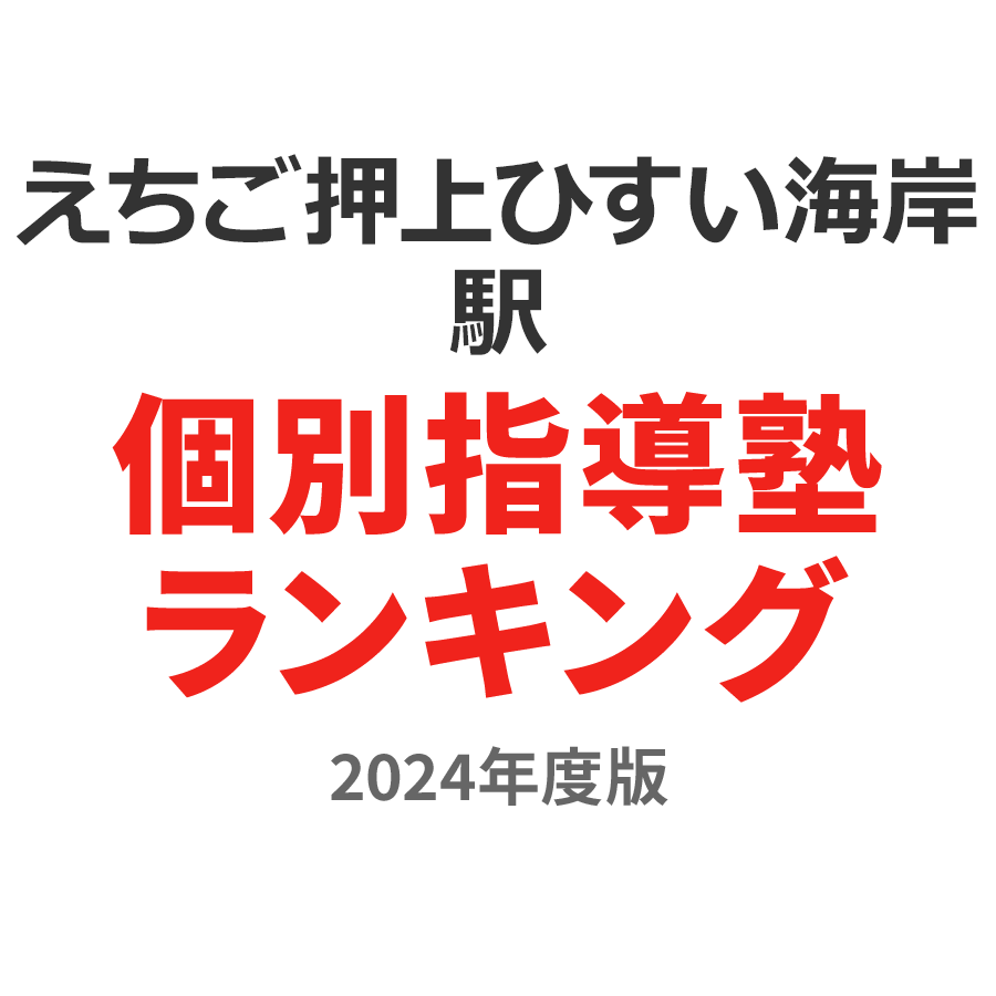 えちご押上ひすい海岸駅個別指導塾ランキング小学生部門2024年度版