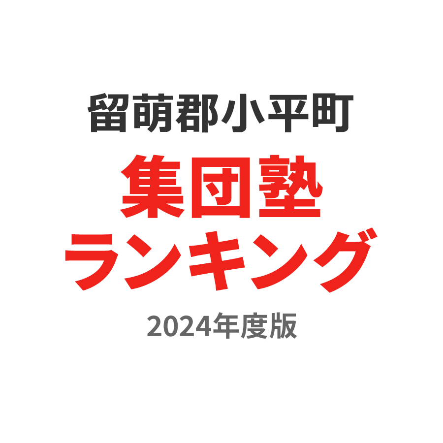 留萌郡小平町集団塾ランキング浪人生部門2024年度版