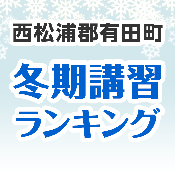 西松浦郡有田町の冬期講習ランキング