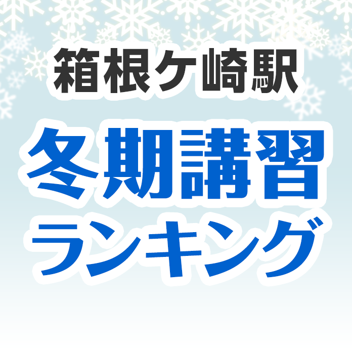 箱根ケ崎駅の冬期講習ランキング